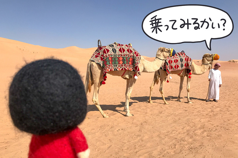 乗ってみたいですわ～！