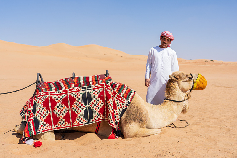 近くに寄るとラクダ、でかっ！