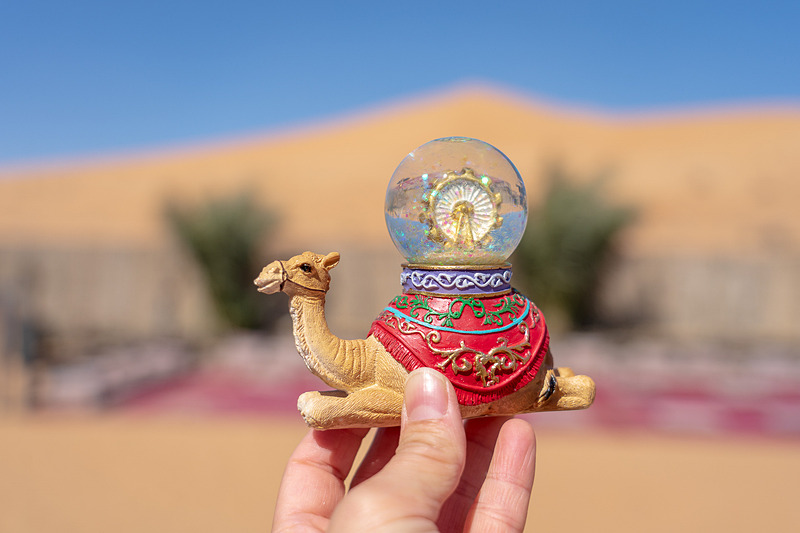 売店で売っていたラクダのスノードーム