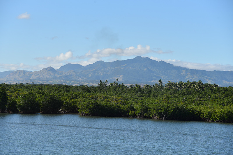 オープンエリアから見えるマングローブの森
