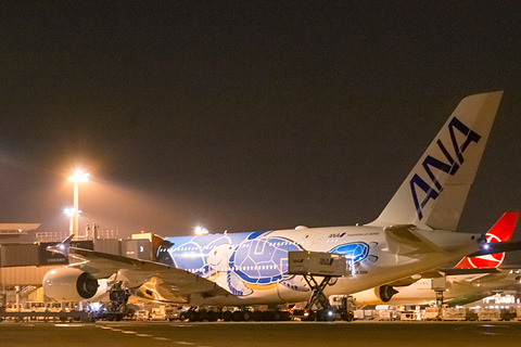 ANAのエアバス A380型機が同日に2便出発。「FLYING HONU（空飛ぶ