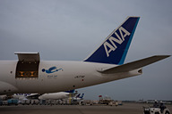 ANA Cargo B777F 貨物機 BLUE JAY 1/400 ANA、“BLUE JAY（アオカケス）”こと「ボーイング 777F」就航