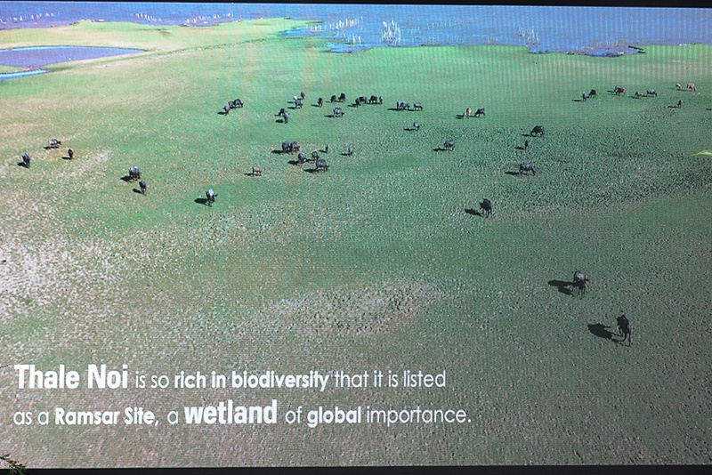 プーケットやクラビに近いタレーノイ国立公園