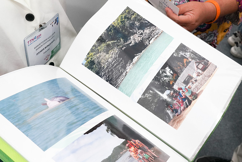 美しい離島が多く海で遊ぶのにもってこい。イルカと出会うことも