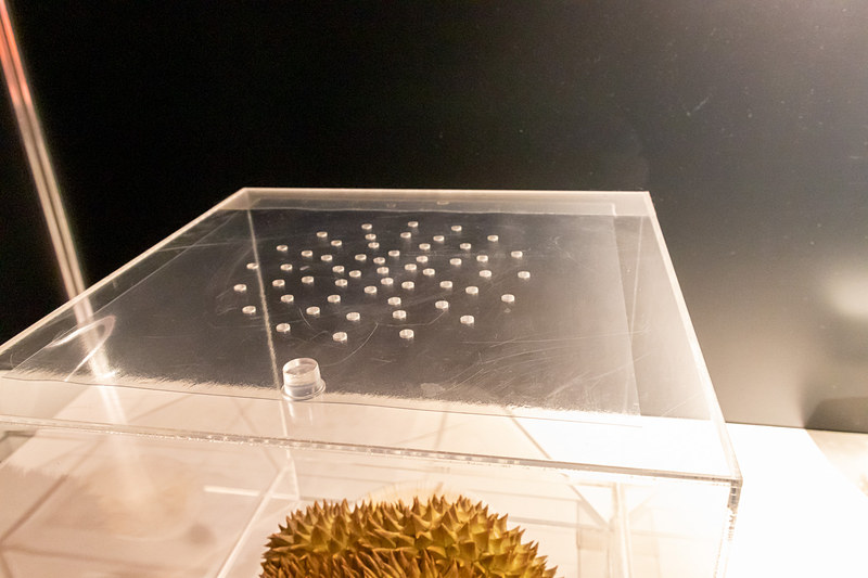 部屋のなかでは、アクリルケース内にブツが置かれており、上部のフィルムをめくってチャレンジする。こちらはドリアンだが、もちろんカットされたものが置かれているので強烈！　ちなみに筆者はシュールストレミングよりもこちらの方がキライだ