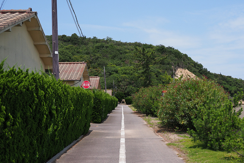 展示はかつて島内に立ち並ぶ入所者が住んでいた寮で行なわれていた