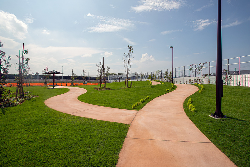 散歩もできる緑地も作られている