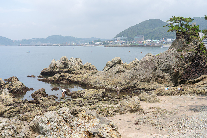 磯遊びが楽しそう～