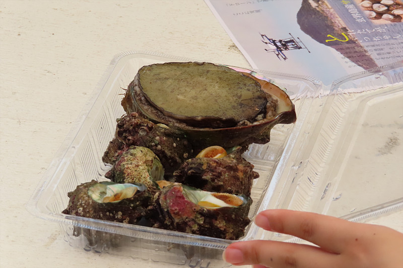 バーベキュー場に届けられたアワビとサザエ。重さはあわせて900g以内