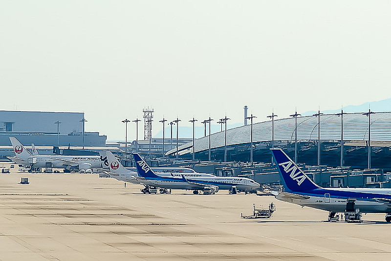 国内航空各社が2019年夏期繁忙期の予約状況を発表した