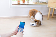 不在時にペットと遊んだりおやつをあげたりするスマートロボット