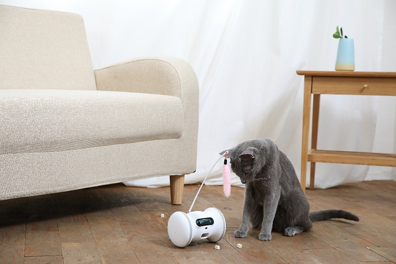 8月11日までは猫用おもちゃキット猫用おもちゃキットやおやつをセットにした記念特価で販売中