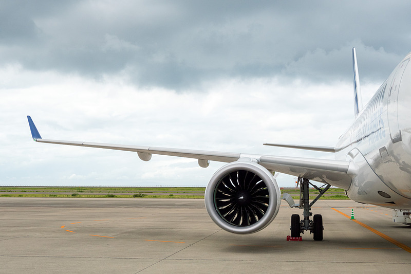 主翼と水平尾翼