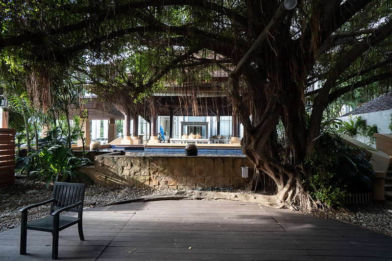 ちょっと別世界に誘われる