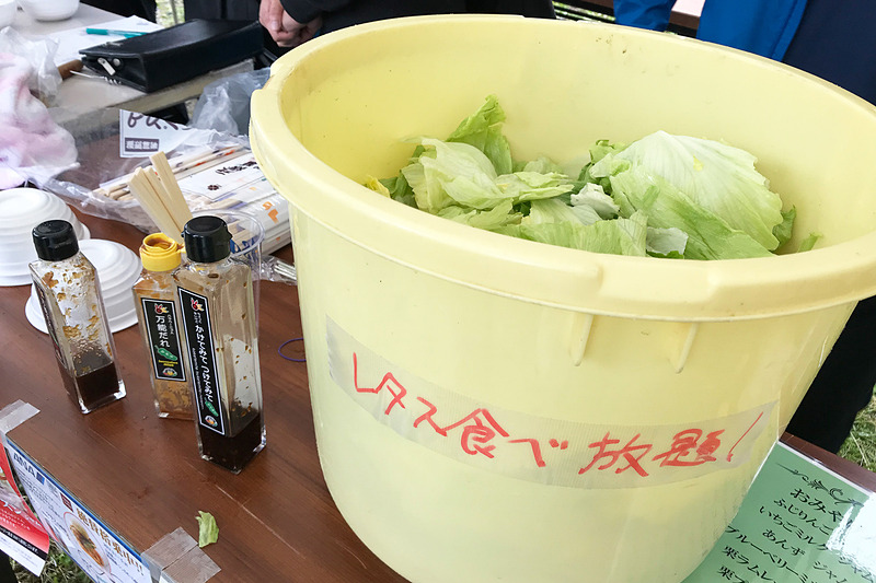 高原野菜が美味しい産地なので採れたてレタスがバケツでどど～んと