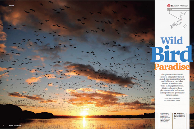 JALの機内誌「SKYWARD」の英語記事では北極圏の湿地帯から越冬のために飛来する渡り鳥のマガン、最盛期には3000羽ほどになるオオハクチョウなど、この地でしか見られない貴重な野生の生態を観察できる伊豆沼・内沼を写真とともに紹介