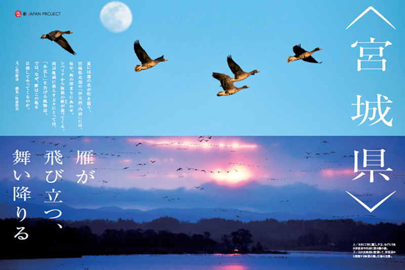 JALは地域活性化プロジェクト「新JAPAN PROJECT」において、9月は宮城県を特集する