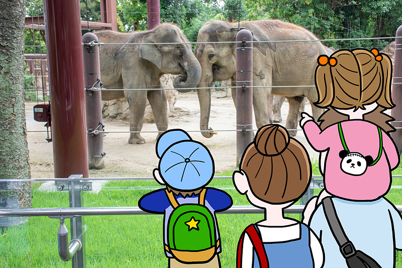 ゾウさんってやっぱり大きいね～