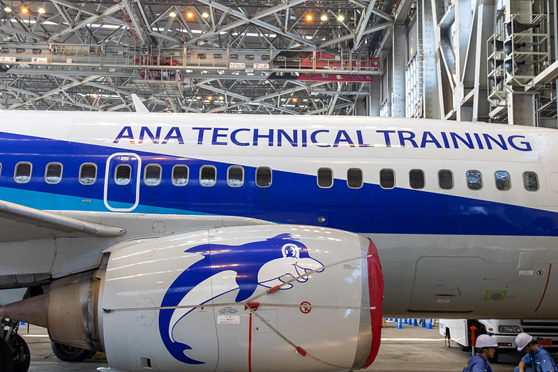 「スーパードルフィン」の名称で北から南まで運航していたボーイング 737-500型機。現在運航中の機体も2020年上期までに全機が退役する。こちらの機体は先に退役したものを訓練専用機材として転用したもの