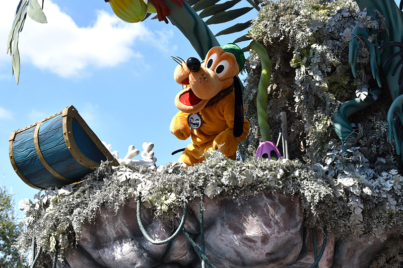 プルートはたくさんの骨入り宝箱に夢中