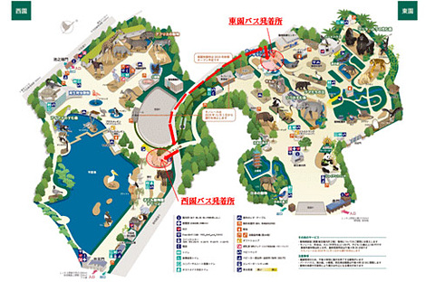 東京都、上野動物園の東園～西園にパンダデザインのラッピング連絡バス