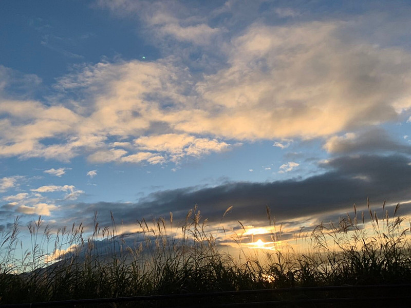 すすきと夕焼けの絶景