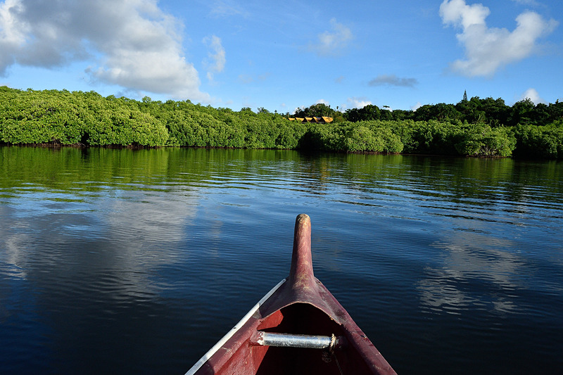 パラオ共和国を旅してきました