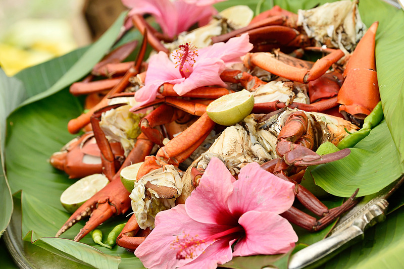 マングローブカニ