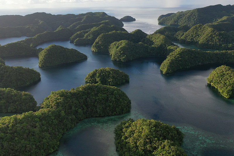 空からコースを見てみました