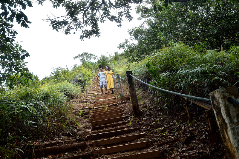 階段が整備されているので見た目より歩きやすい