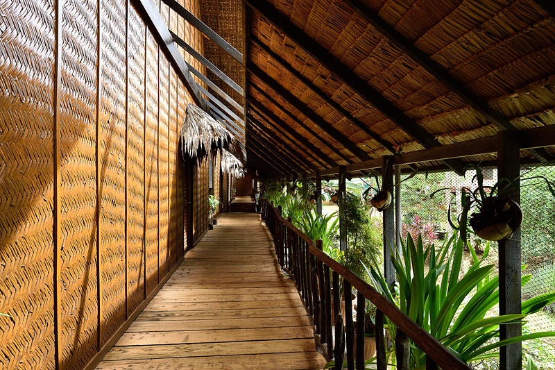 板張りの床、竹を編んだ壁、外には自然のヤシ