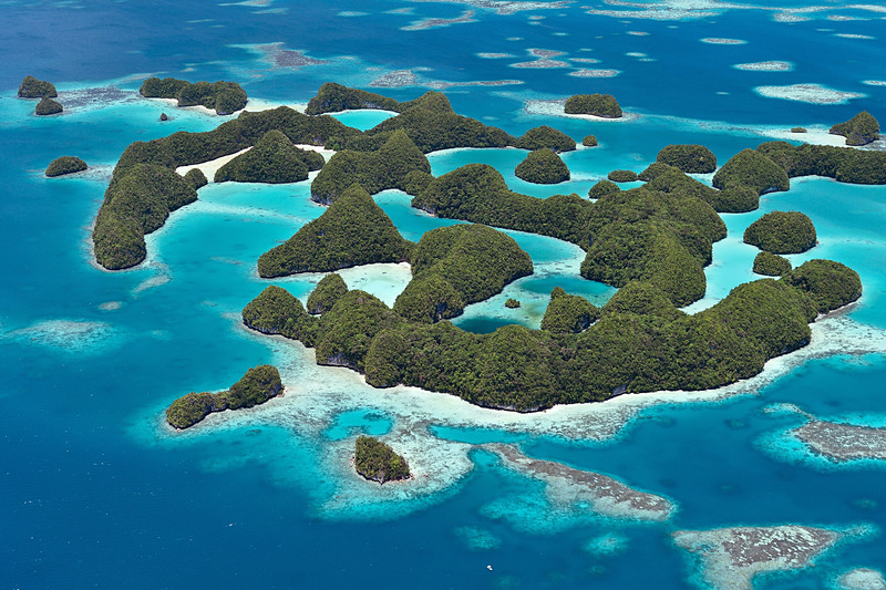 今度は空からパラオを楽しみます
