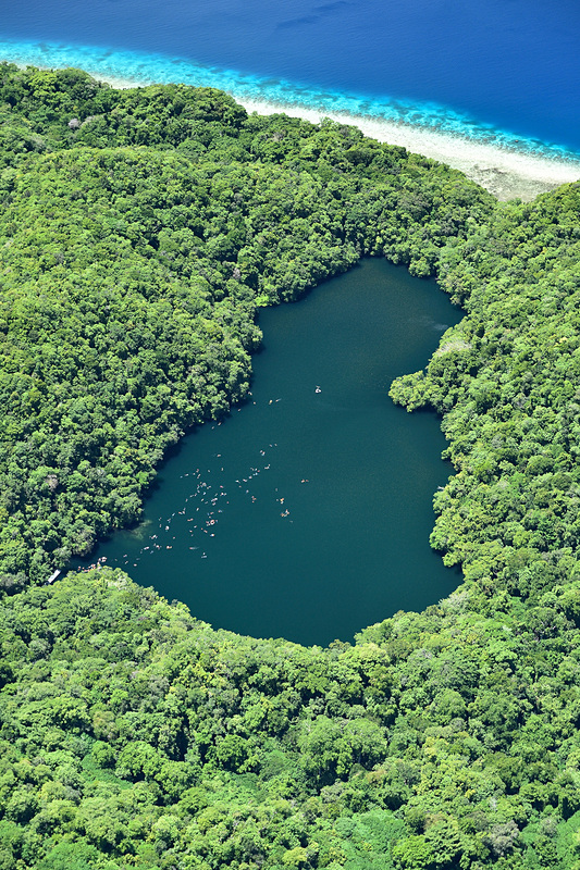 ジェリーフィッシュレイクに見えるツブツブはスノーケリングしている皆さん