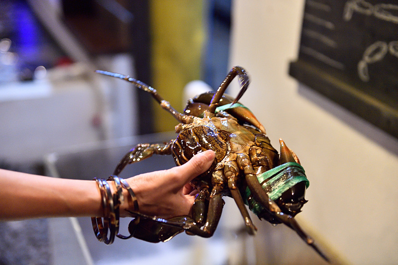 水槽には新鮮なマングローブガニやマングローブ貝が