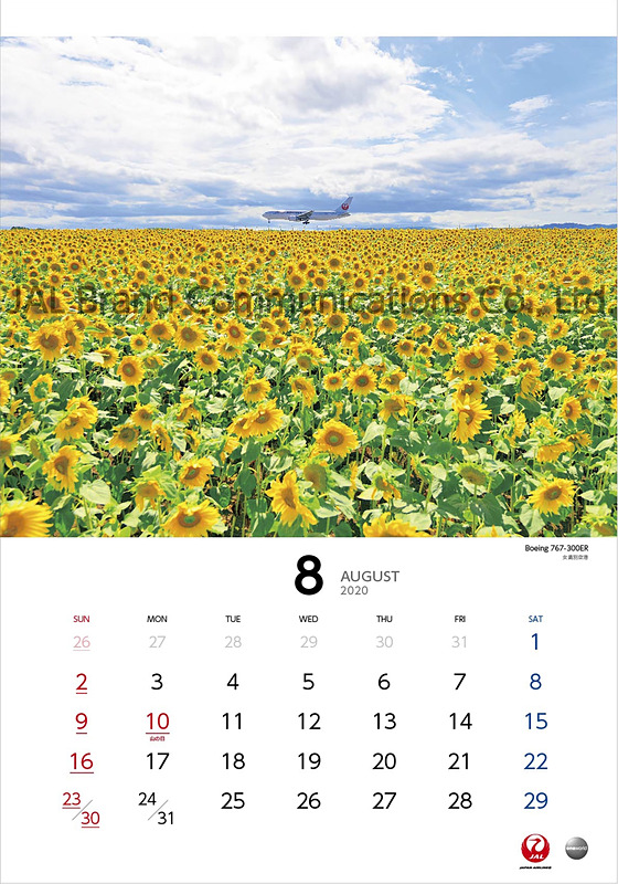 JAL SEASONS～飛行機のある風景～（普通判）