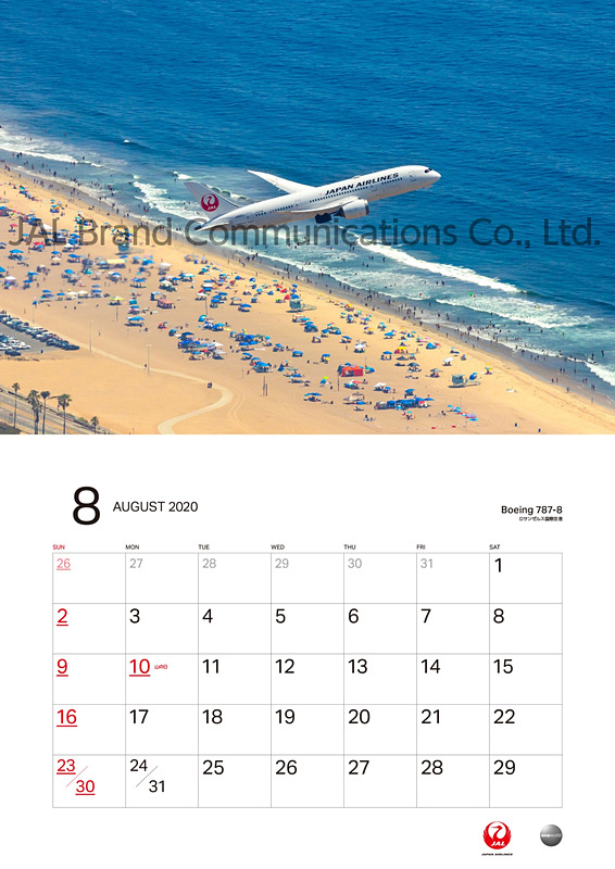 JAL FLEET（普通判）