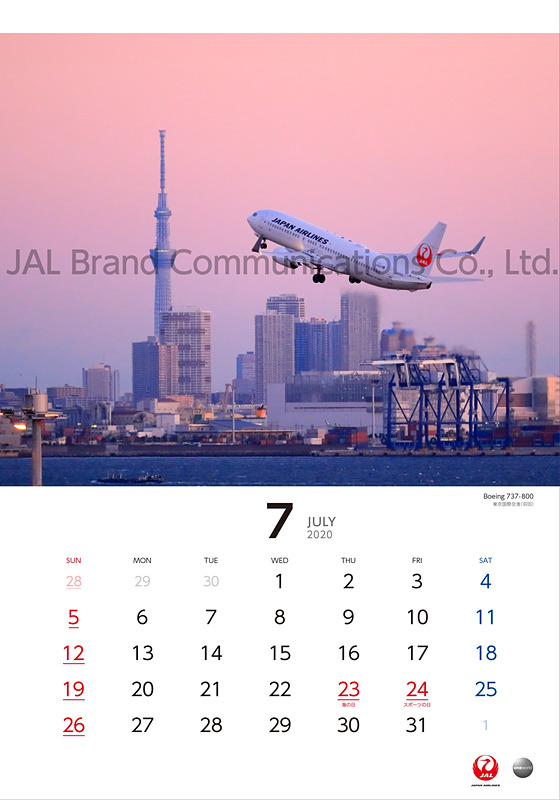 JAL NIGHT FLIGHT（普通判）