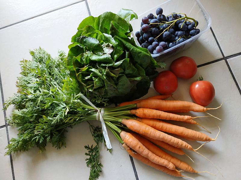 新鮮で美味しい野菜たちでした