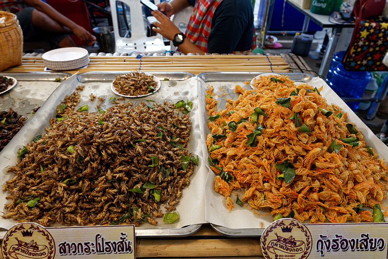 昆虫食にもチャレンジできる