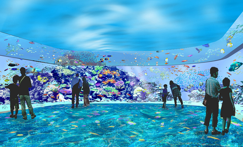 「サンゴ礁の海（仮称）」は鮮やかなサンゴ礁の海を感じるゾーン