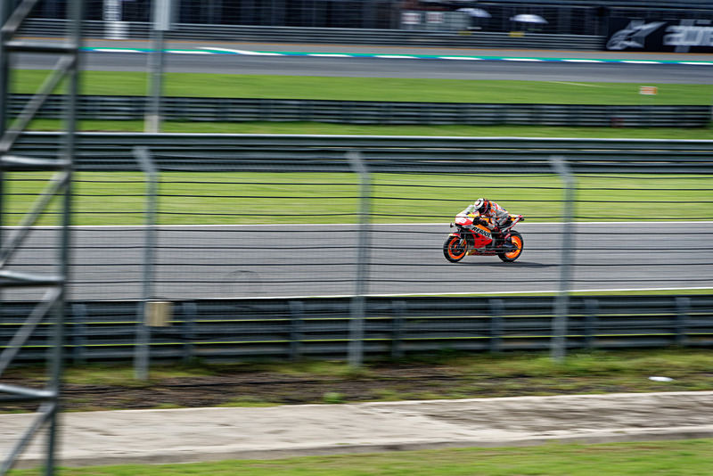 こちらも低い段だとフェンス越しになる