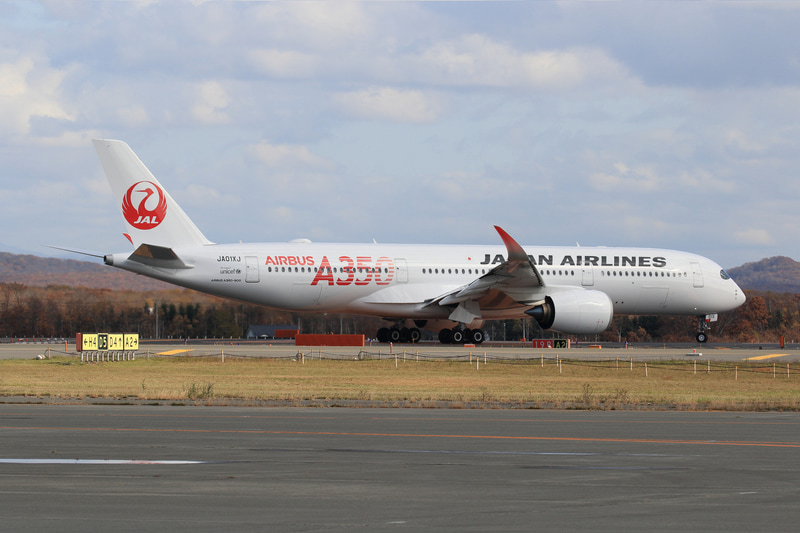 A滑走路（R/W19R）を離陸するJAL504便