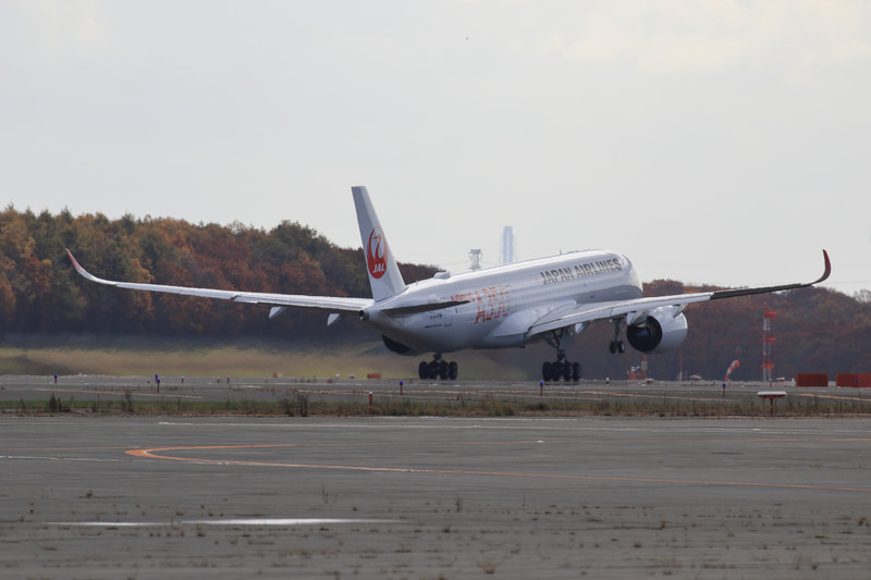 A滑走路（R/W19R）を離陸するJAL504便