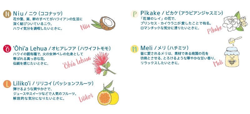 ココナッツ、オヒアレフア、パッションフルーツ、アラビアンジャスミン、ハチミツの香り5種がセットになっている。