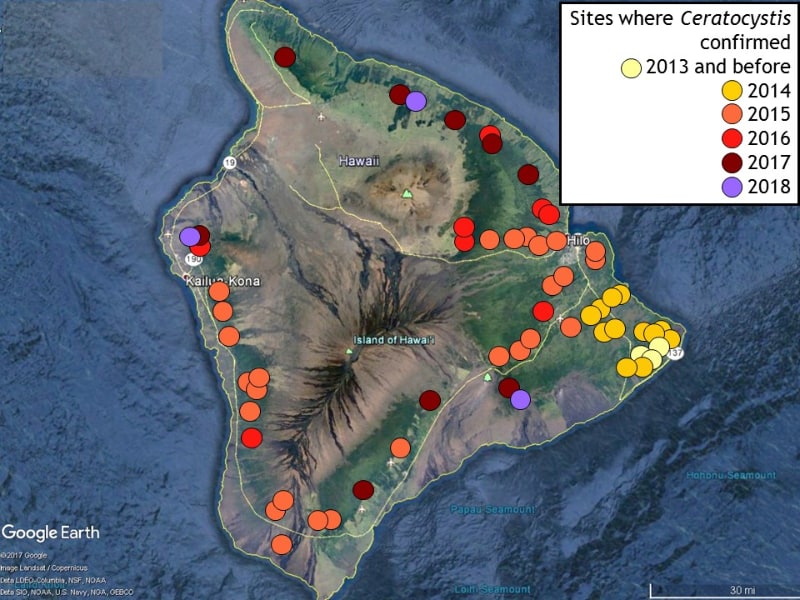 オヒアレフアの枯死が確認されている場所（ハワイ大学発表）
