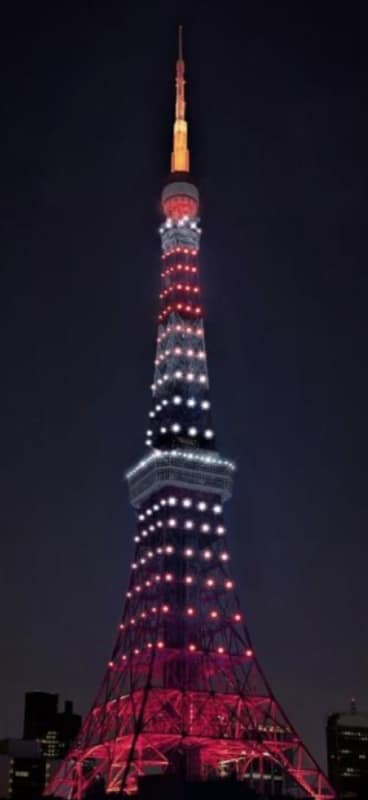 「11月の週末プログラム」イメージ