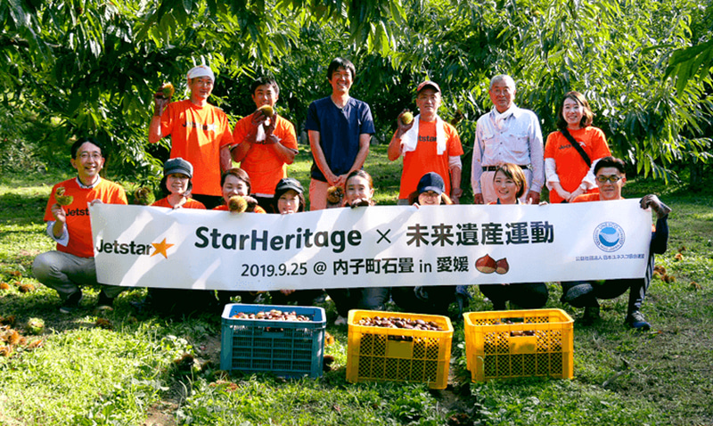 ジェットスターの社員が愛媛県・内子町石畳地区の自治会とともに、石畳栗」の収穫活動を体験してきたという