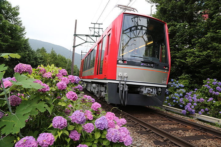 箱根登山鉄道は10月13日から運休が続く箱根湯本駅～強羅駅間の運行再開を2020年秋ごろの見込みと発表