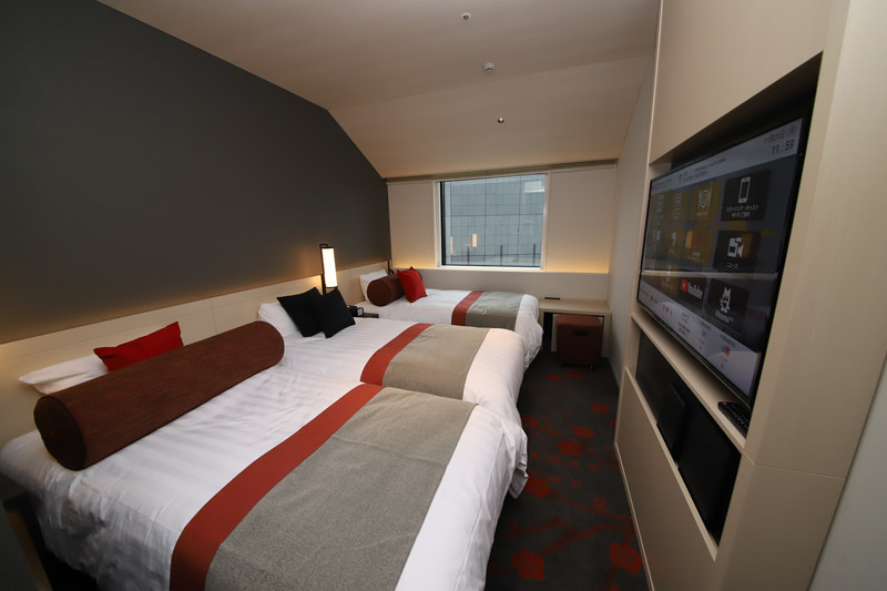 スタンダードツイン/スタンダードトリプルの部屋に分かれている（「梅」カラー）