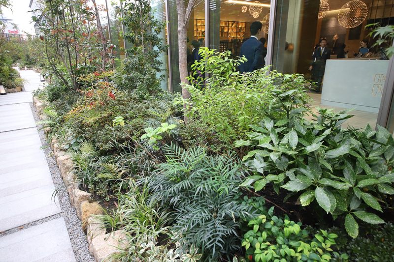 インバウンドの宿泊客にとっては、日本の植生を身近に感じる機会となるはずだ